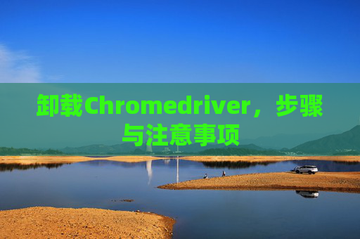 卸载Chromedriver，步骤与注意事项