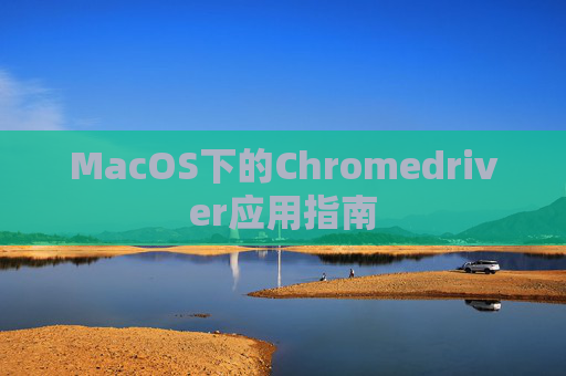 MacOS下的Chromedriver应用指南