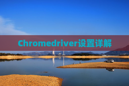 Chromedriver设置详解
