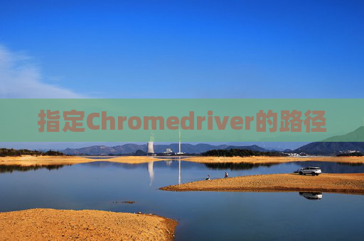 指定Chromedriver的路径